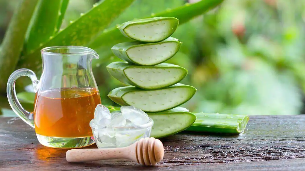 5 remedios caseros para las picaduras de avispa